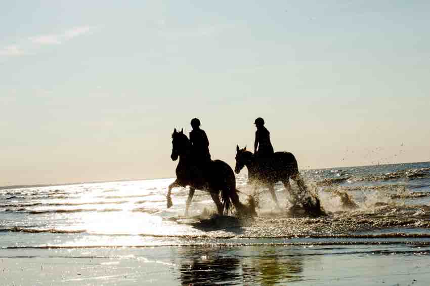 activité cheval deauville